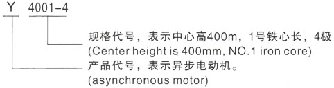 西安泰富西玛Y系列(H355-1000)高压YE2-200L-4三相异步电机型号说明