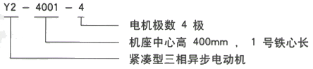 YR系列(H355-1000)高压YE2-200L-4三相异步电机西安西玛电机型号说明